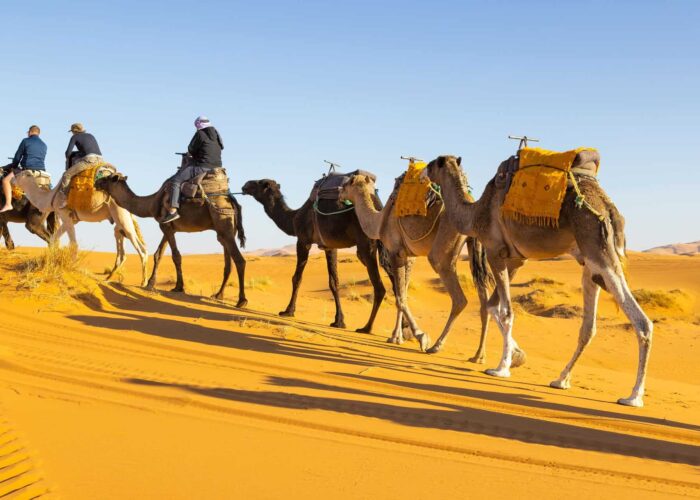 15 days tour through Morocco